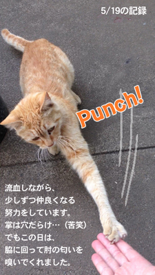 2013.5.19-punch.jpg